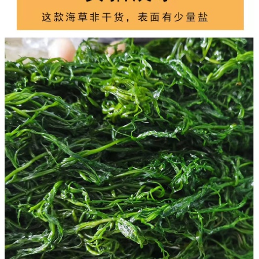 大连马尾藻，长寿菜，大连源头厂家直销，品质有保障，一价到底