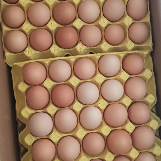 重庆市鸡蛋