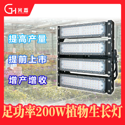 东营光盉冬枣植物灯 樱桃植物补光灯 油桃温室大棚生长灯