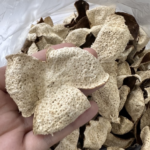 江门会陈皮二红皮