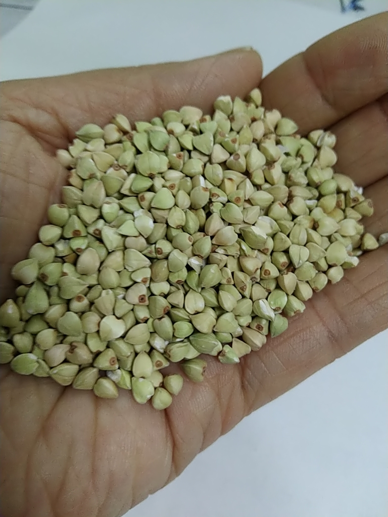 甜荞 荞麦米，2023新货，大量批发，长期供应
