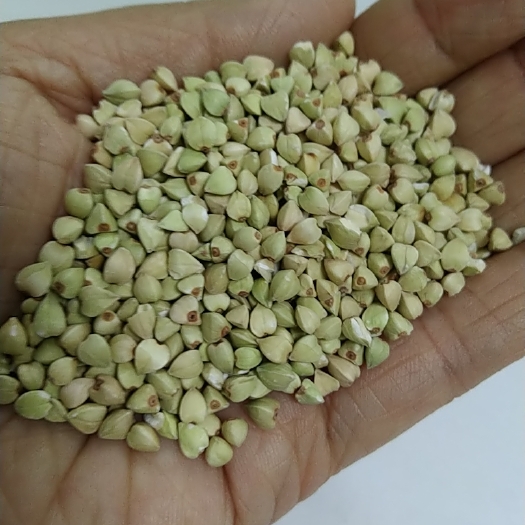 甜荞 荞麦米，2023新货，大量批发，长期供应