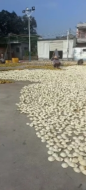 江门陈皮，二红皮