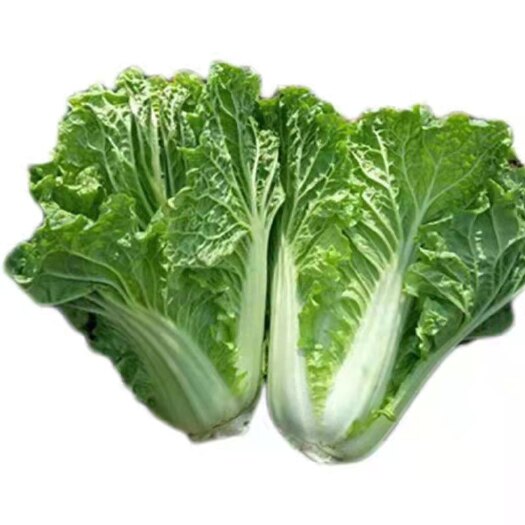 织金县贵州麻叶菜