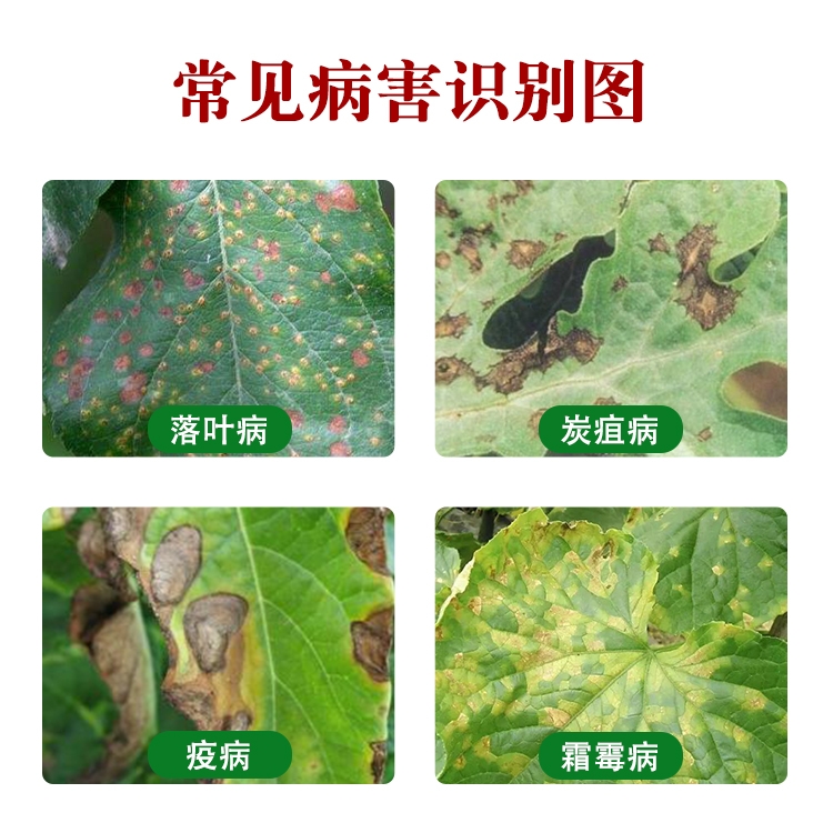 唑醚代森联杀菌剂苹果斑点落叶病蔬菜疫病霜霉病炭疽病