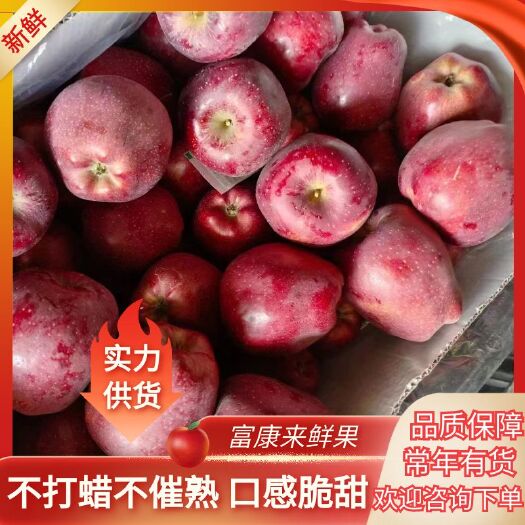 礼县苹果 甘肃天水 花牛苹果 量大从优 正宗花牛 型号齐全