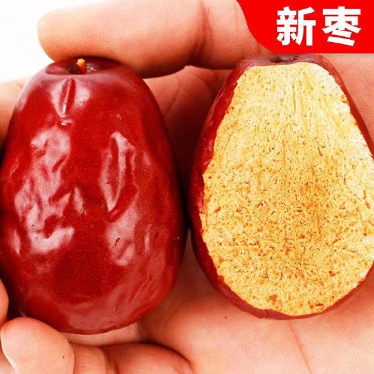 乐陵市电商平台直播带货新疆红枣厂家货源批发可袋装可一件代发