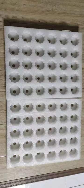 晋州市珍珠棉蛋托