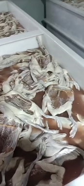 凤台县纯手工腌制的咸鸭腊鸭