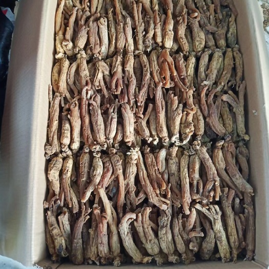 集安市红参 ，5年，地残，大批量，各种规格，批发，懂的来图片