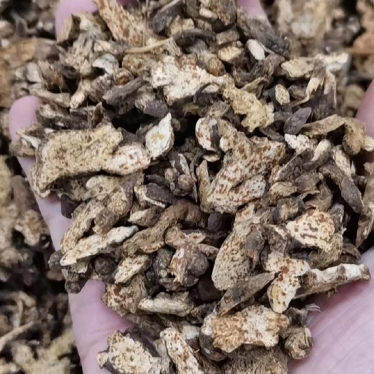 苍术 北苍术 茅苍 正品无硫苍术