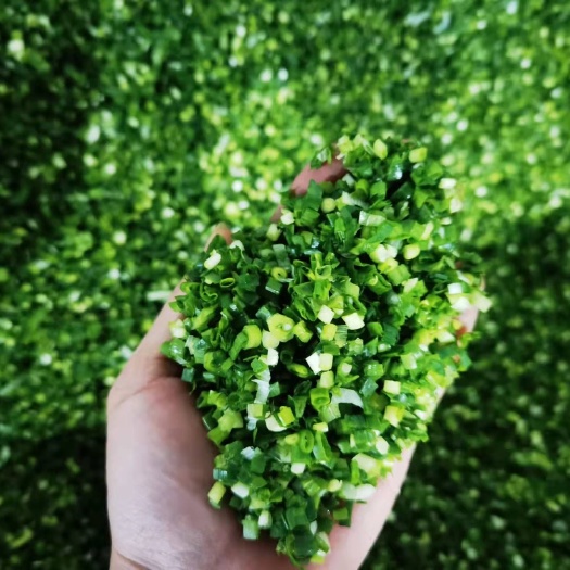 上海葱花，葱碎，适用手抓饼，包子