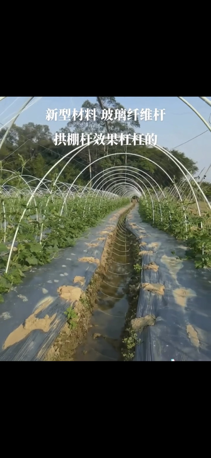 种植大棚  高强度玻璃纤维杆 6米宽的棚使用14mm的实心杆