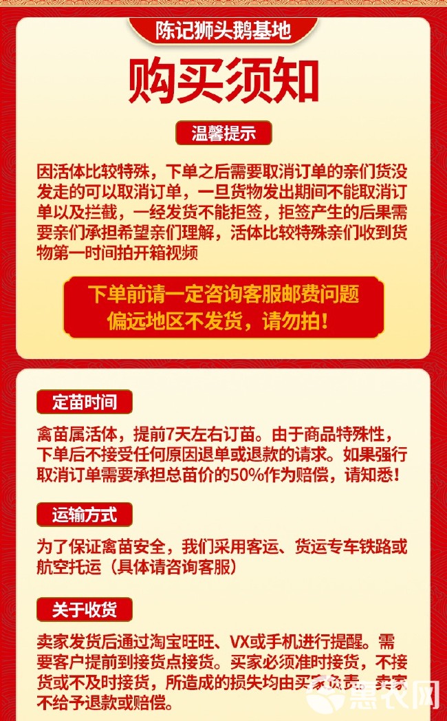 狮头鹅活苗潮汕纯种活体汕头大型品种鹅仔灰狮头鹅活苗特大种