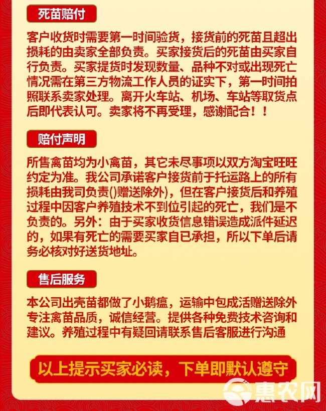 狮头鹅活体潮汕狮头鹅特大种狮头鹅种蛋汕头澄海发货包正