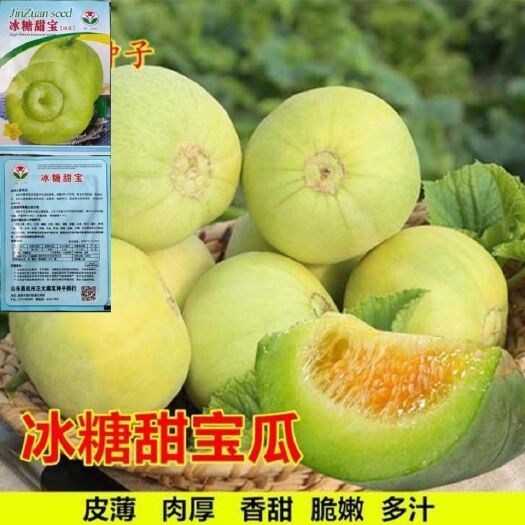 邵东市冰糖甜宝甜瓜种子 甜宝甜瓜种子 香甜可口早熟丰产甜瓜香瓜种子