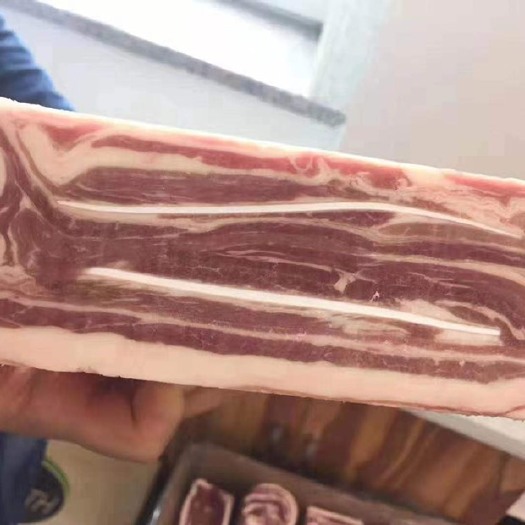 温州厂家直销肥羊