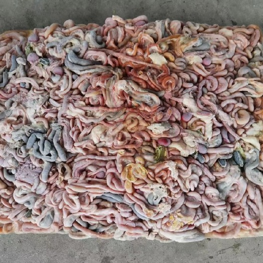 鸡肠子/鱼饲料/狗饲料