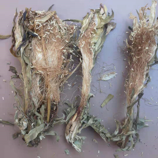 亳州【热销】霸王花基地货源干净无杂货支持药检欢迎订购一件代发包邮
