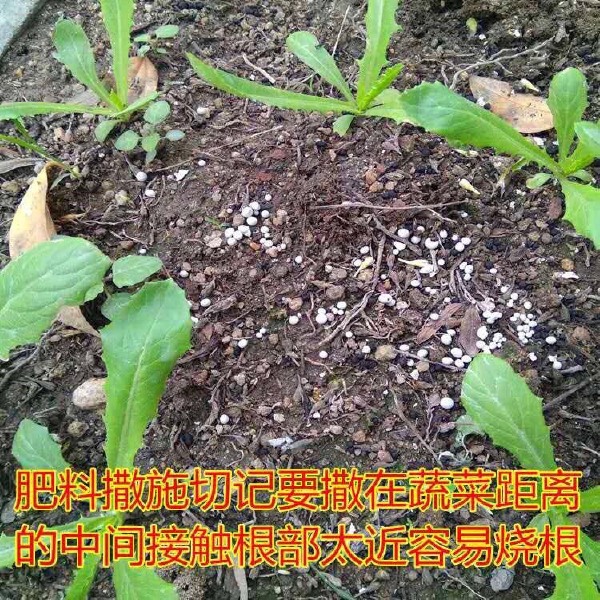 挪威复合肥花肥通用肥种菜养花家用批发专用肥有机肥料水溶肥