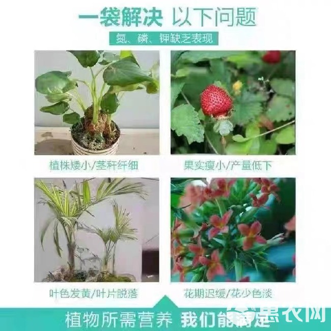 挪威复合肥花肥通用肥种菜养花家用批发专用肥有机肥料水溶肥