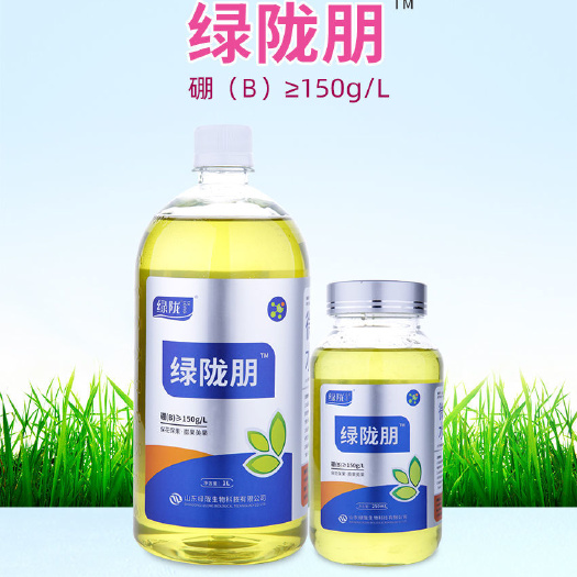 诸城市硼肥  叶面肥农用微量元素流体硼水溶EDTA螯合态流体小分子
