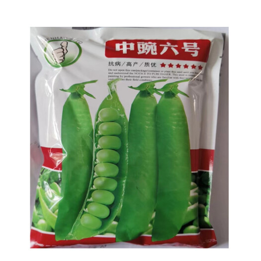 沭阳县豌豆种子中豌六号豌种子豆苗芽苗菜种子水培土培优质批发包邮