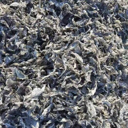 大连干罗非鱼皮