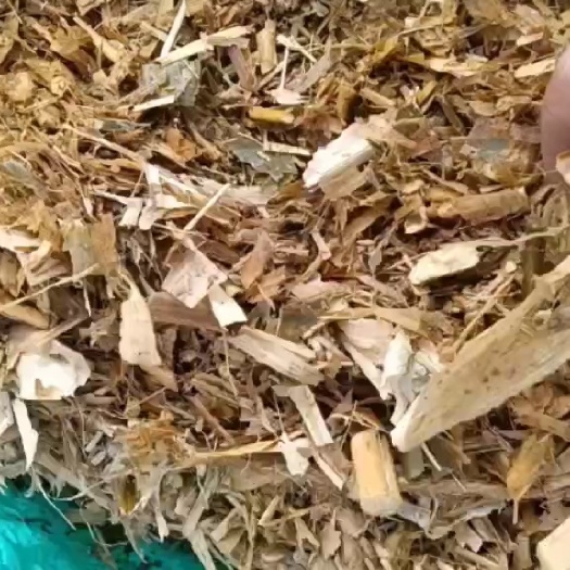 宿州玉米黄储，自己收割，自己打包，黄储质量如一，放心用