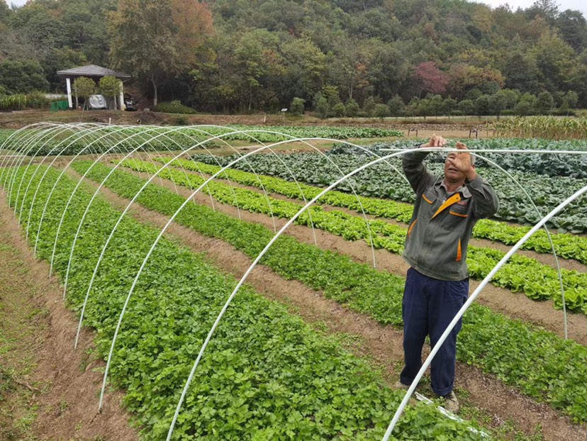 种植大棚  高强度玻璃纤维杆 6米宽的棚使用14mm的实心杆