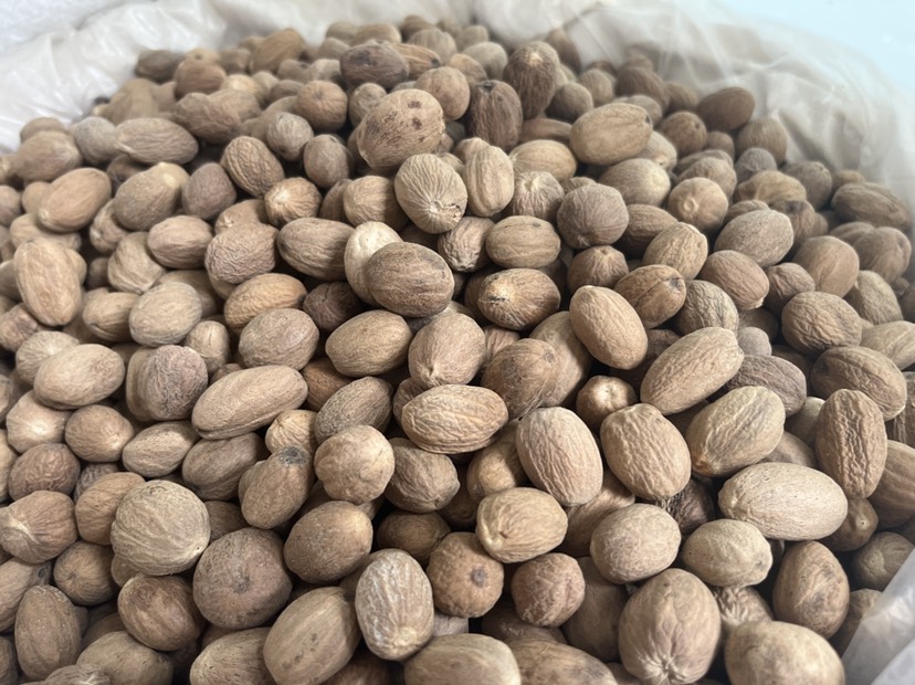 批发特重油肉豆蔻白玉果肉蔻顶头肉香料卤料大料量大从优