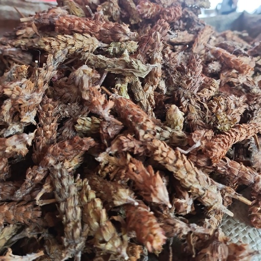 亳州夏枯球 夏枯草