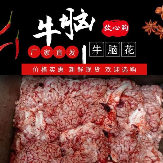 阳信县牛脑，1斤到1斤半单独包装需要的联系