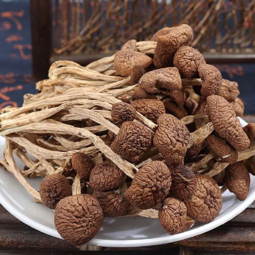 昆明茶树菇新货古田特产茶树菇冰菇不开伞源头厂家批发