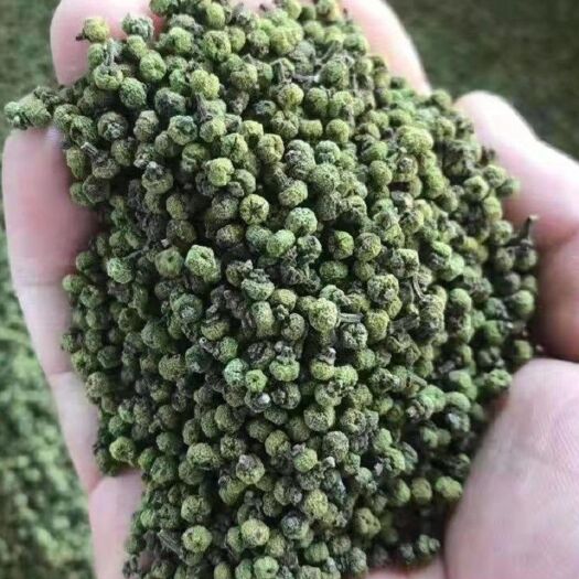 亳州吴茱萸 正品无硫吴茱萸例 【大，中，小，规格齐全】