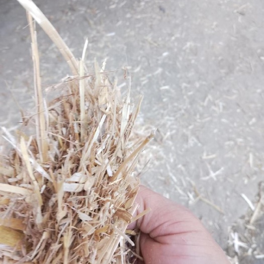 张家港市小麦秸秆揉丝除尘草料