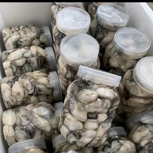 饶平县生蚝肉批发，蚝烙火锅都可，珍珠蚝肉