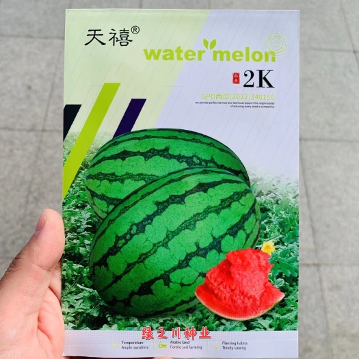 沭阳县新选育早熟礼品西瓜种子科美2k西瓜种子 椭圆形皮薄小西瓜种籽