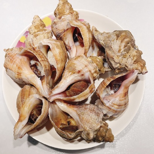 长沙海螺
