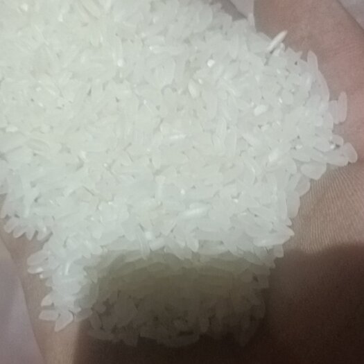 宿迁江苏宿迁精品籼米