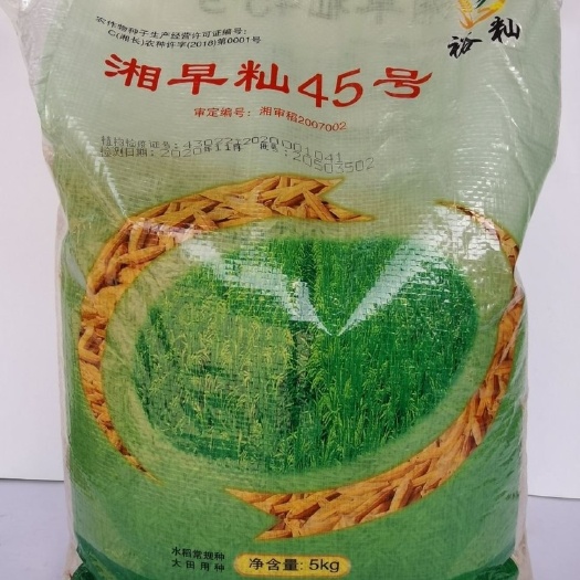 华容县湘早灿45号常规双季早稻水稻种子,生育期105-106天