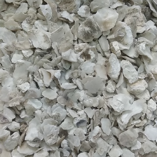 阳江中药材牡蛎 ，鱼池过滤材料，水洗牡蛎壳，水洗生蚝壳
