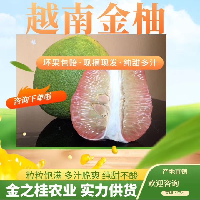̩֣ԽϽֺ֭ˮ