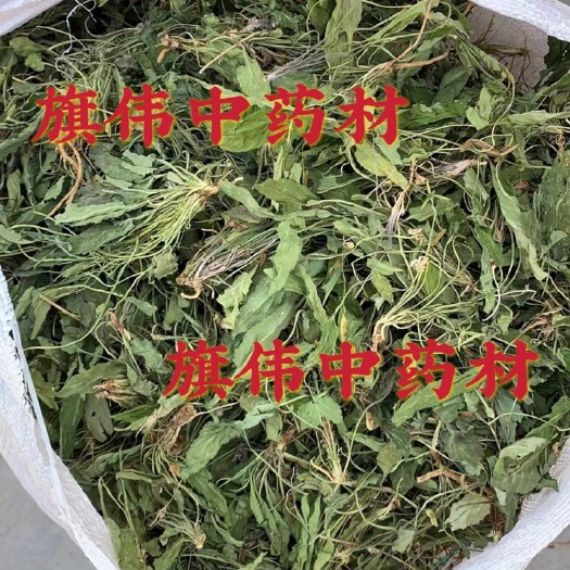 亳州紫花地丁 产地大货 需要欢迎打扰！