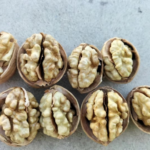 孟村县新疆185纸皮核桃