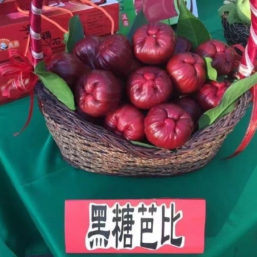 灵山县自种自销黑糖芭比莲雾杯苗