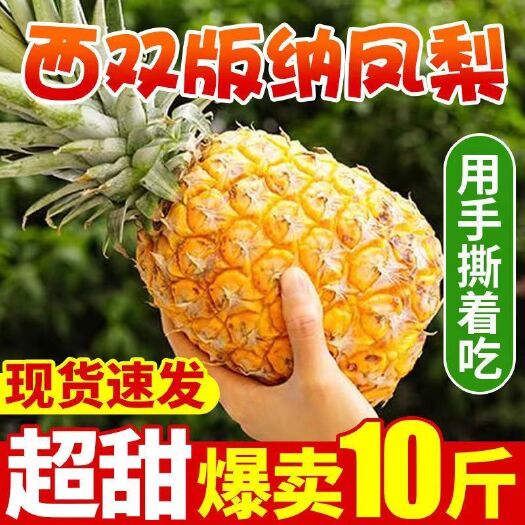 徐闻县9斤【爆汁超甜】菠萝梨甜现摘批发大菠萝孕妇应