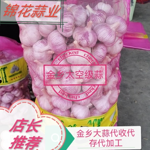 金乡县金乡大蒜