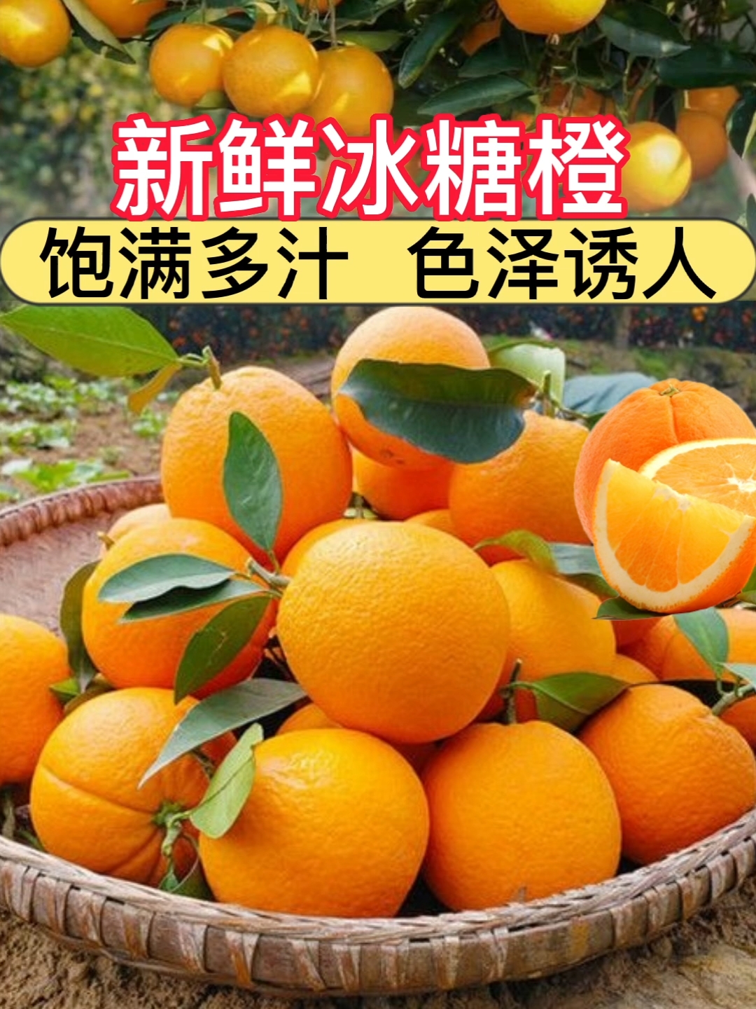 麻阳冰糖橙新鲜水果应季蜜桔冰糖包整箱批发电商平台一件代发
