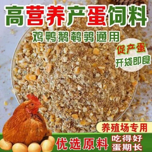 射阳县小鸡饲料蛋鸡饲料高蛋白料